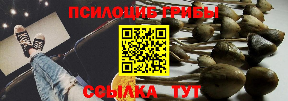 Псилоцибиновые грибы Cubensis Зеленодольск